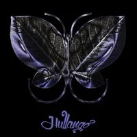 Értékelés: Szűcs Attila